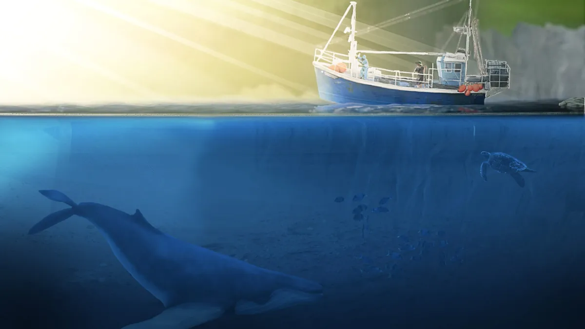 WWF – Strategiefilm 2018–2022 – Bild 3