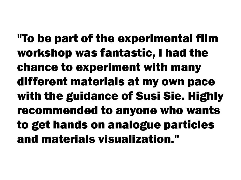 Pedro Ferreira, Videokünstler